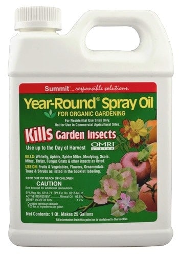 Summit Year-Round Spray Oil is an organic way to kill insect pests