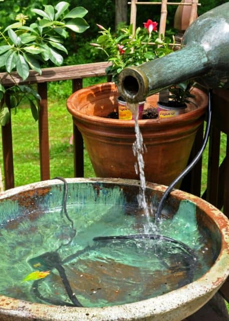 Small Container Water Garden Creates Big Impact - Home, Garden and ...