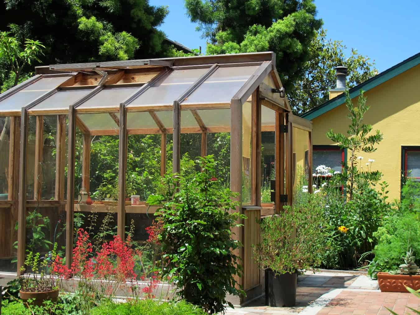 Greenhouses provide a year round growing season Home 