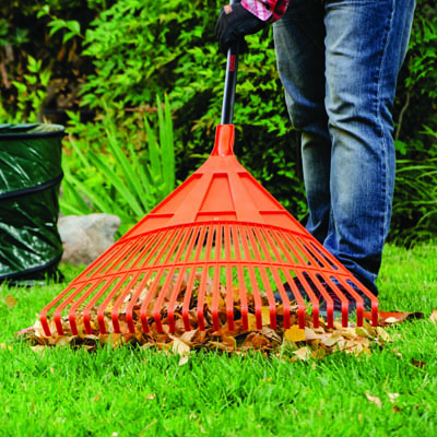 a leaf rake is a handy tool for raking leaves in the fall