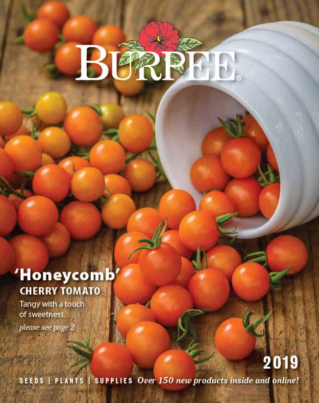 burpee garden catalog 2019