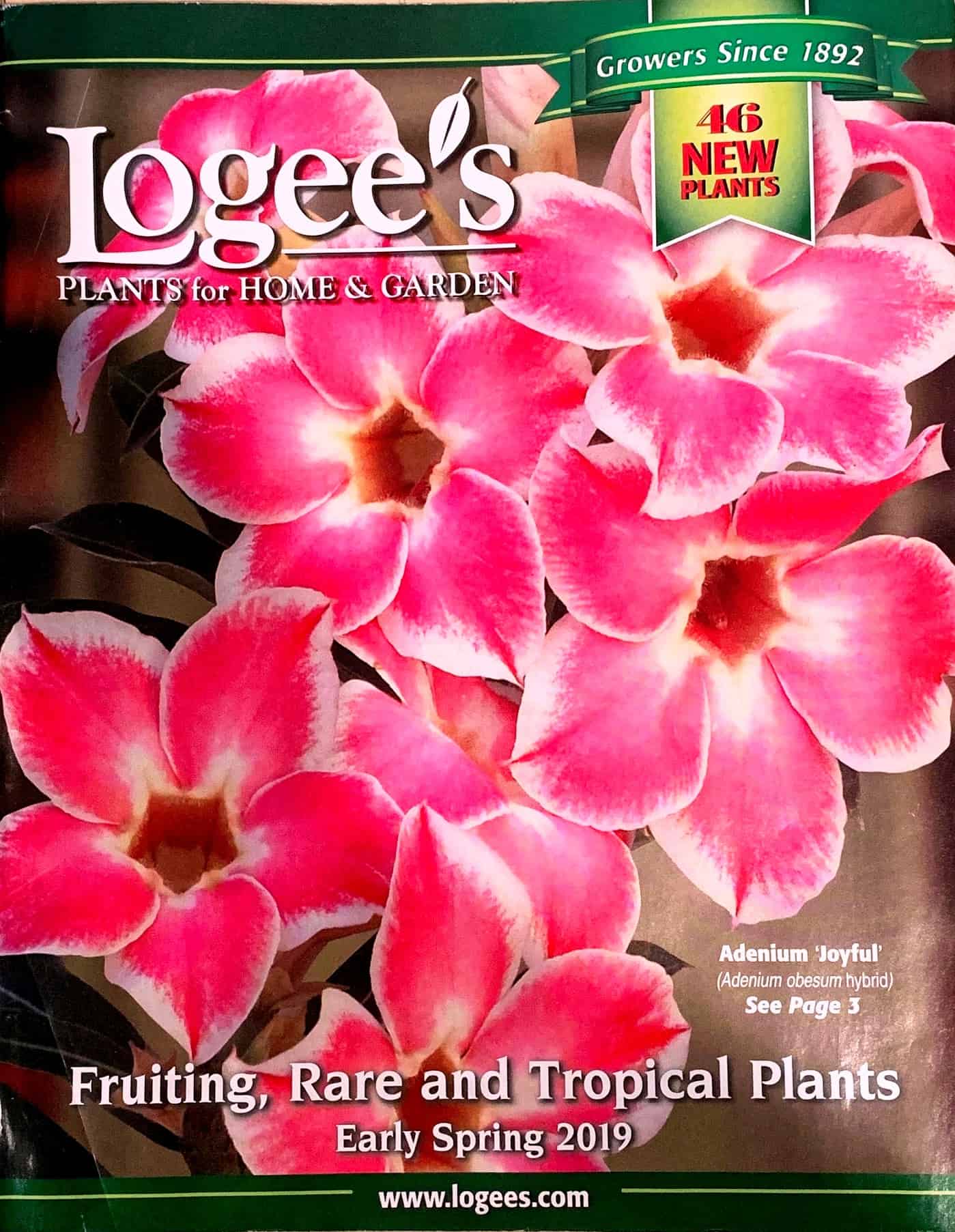 logees garden catalog 2019 for tropical plants