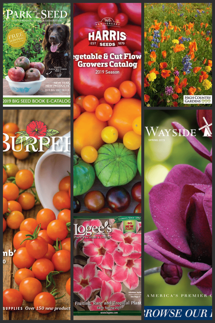 9 Great Garden Catalogs in 2019