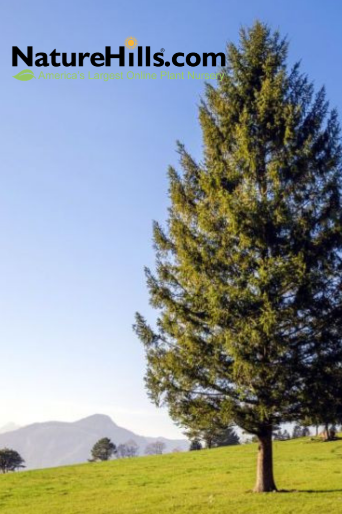 9 Great Garden Catalogs in 2019 Home, Garden and Homestead