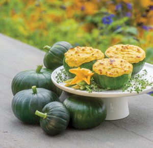 Summer Squash Cupcake Hybrid is a good variety for container gardening