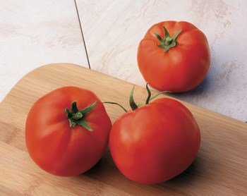Big Yummy Hybrid Tomato for Container Gardening
