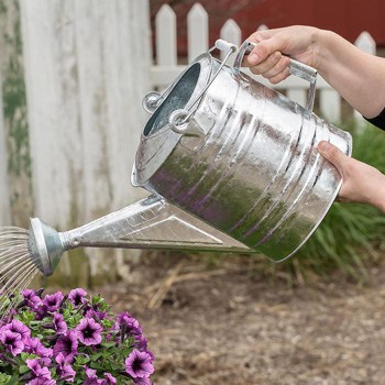 best garden tools metal watering can