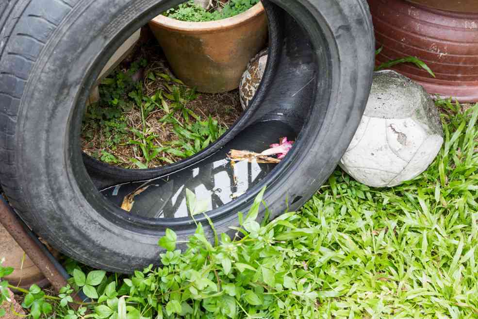 Use BTI to kill mosquitoes in the water that collects in a discarded tire