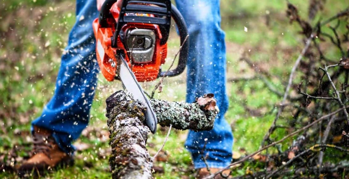 man uses chainsaw to cut overgrown trees