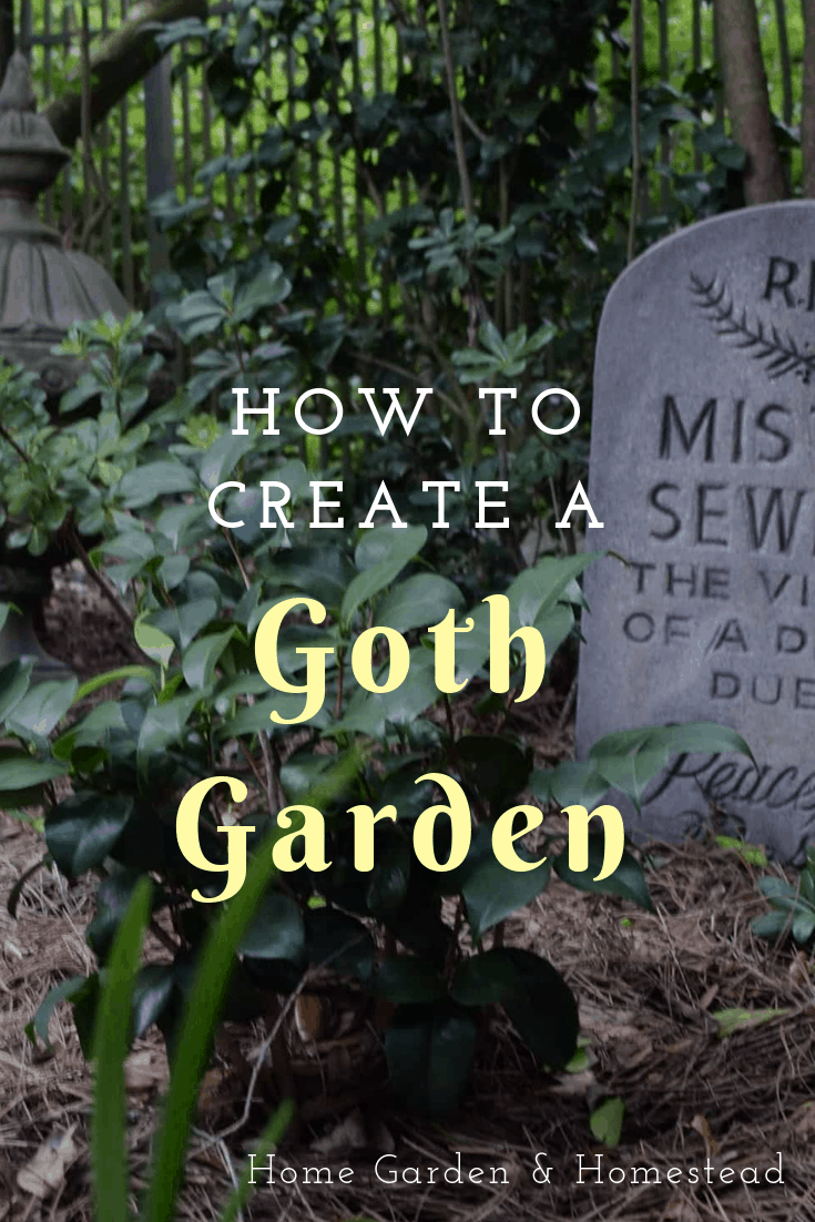 inspiration for how to create a goth garden