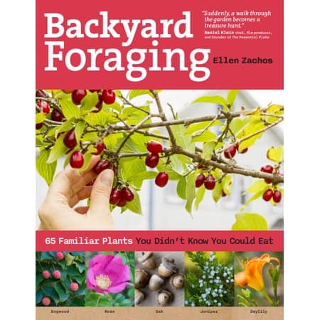 backyard foraging book by Ellen Zachos is a 2020 garden trend