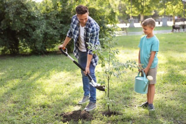 Father and son show how to plant a tree