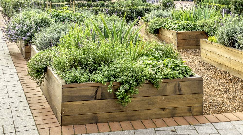 A raised bed garden filled with healthy plants