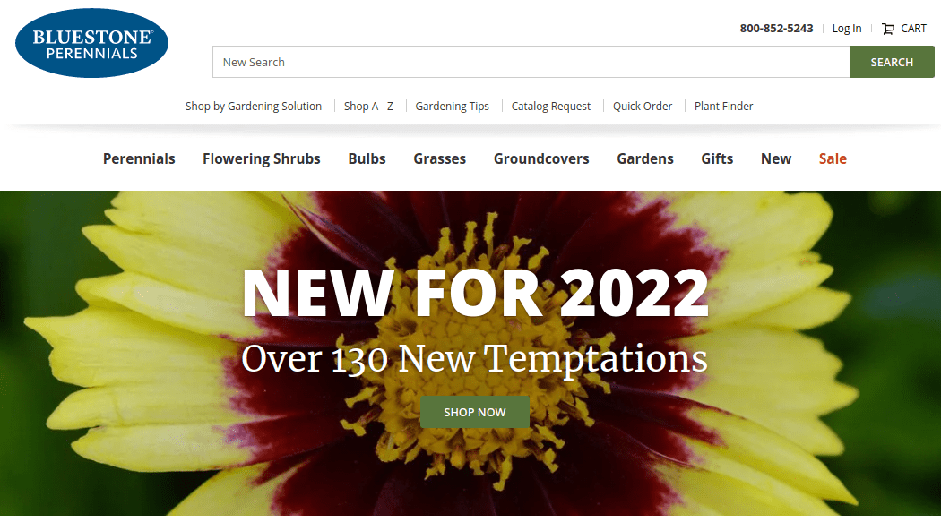 bluestone perennials garden catalog 2022