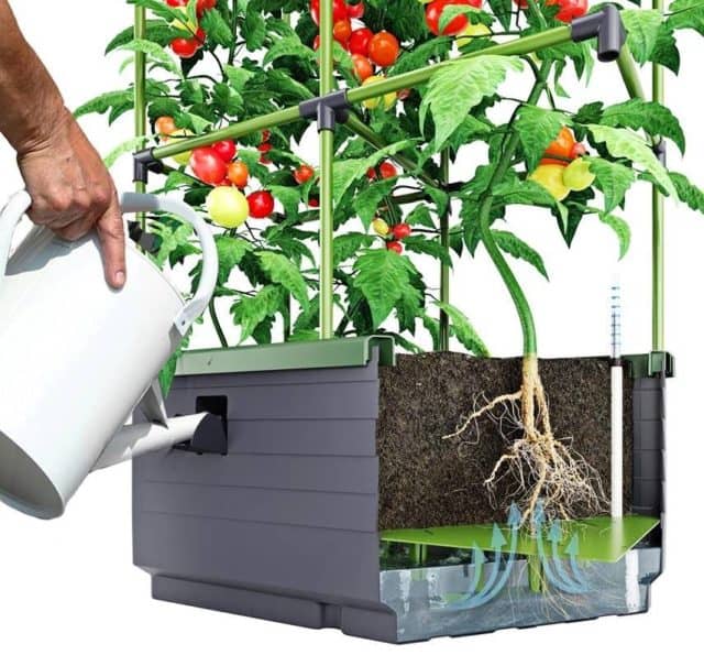 Cutaway of the BioGreen City Jungle self-watering container