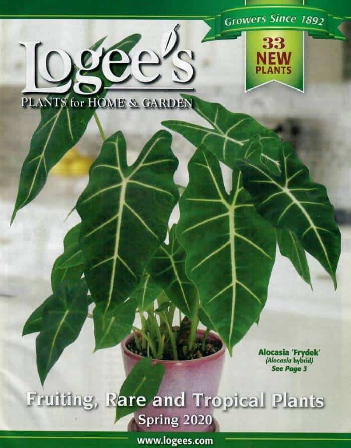 Logee ' s On vuoden 2020 paras puutarhaluettelo ja verkkosivut's is a best 2020 garden catalogs and websites