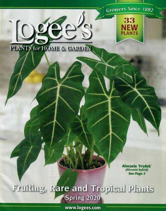 Logee's is a best 2020 garden catalogs and websites's is a best 2020 garden catalogs and websites