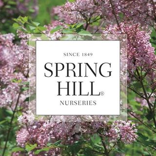 spring hill nurseries garden catalog
