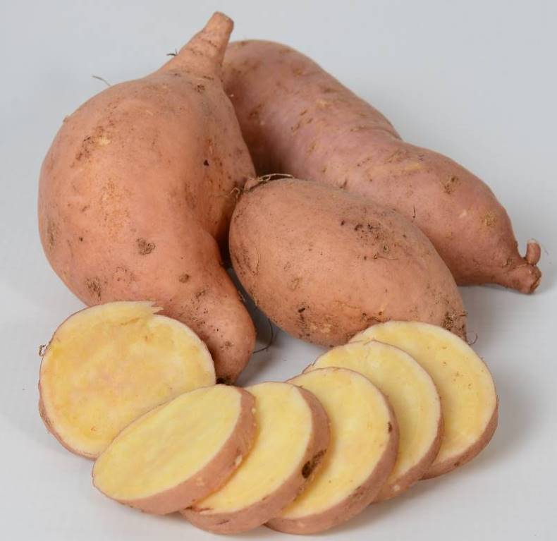 best new vegetable seeds and plants include Treasure Island 'Makatea' sweet potatoes