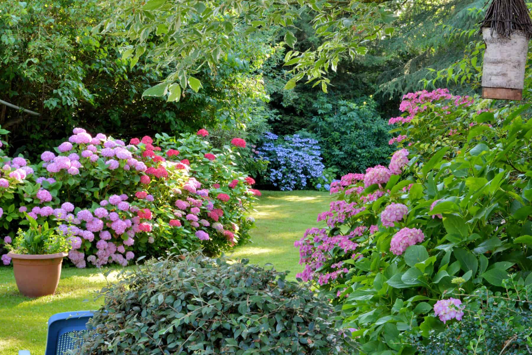 The perfect garden is whatever suits your personal style