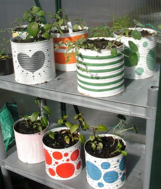 Tiny Space? Grow a Mini Indoor Garden! - Home, Garden and Homestead