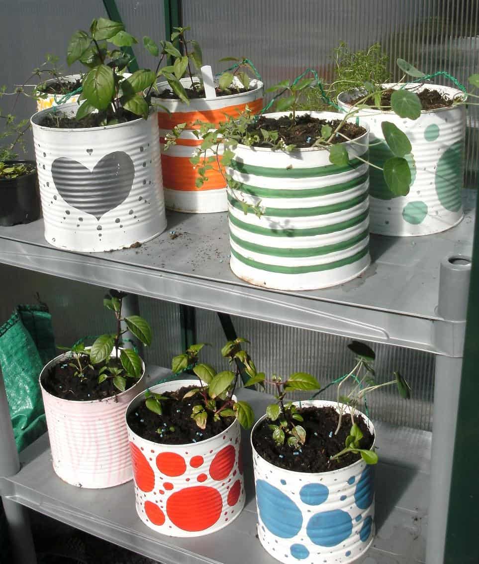 an assortment of plants growing in large painted tin cans