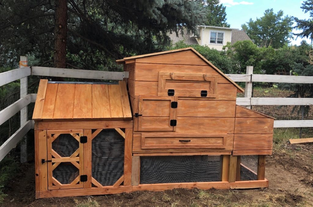 A Beginner’s Guide to Raising Urban Chickens - HG&H