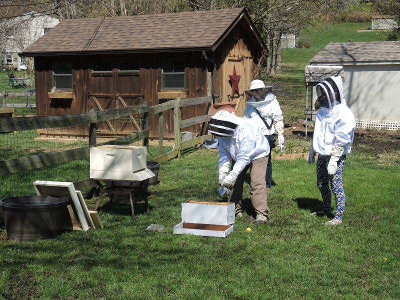 An experienced beekeeper mentors two beginners