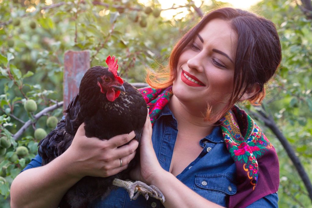 A Beginners Guide To Raising Urban Chickens Hgandh 