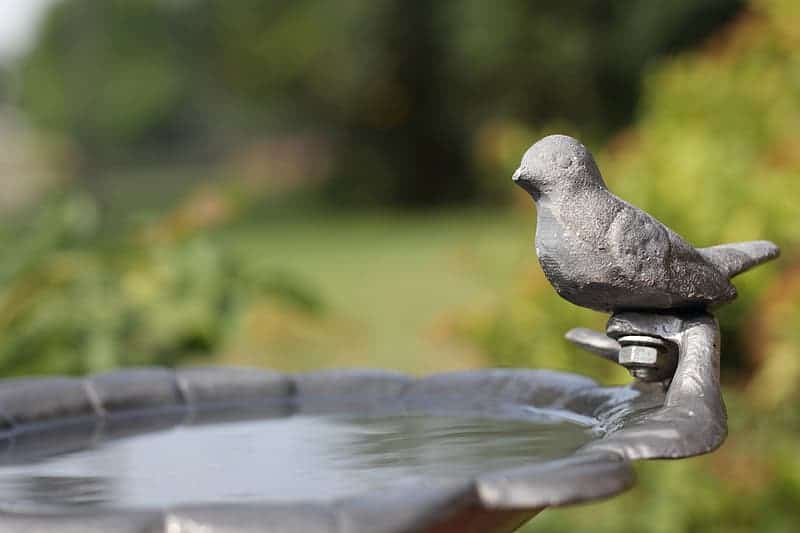 a backyard birdbath is a great way to attract all kinds of birds