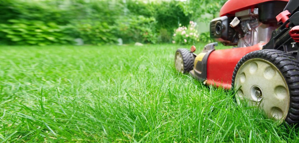 5 Lawn Care Tips for Greener Grass - Home, Garden and Homestead