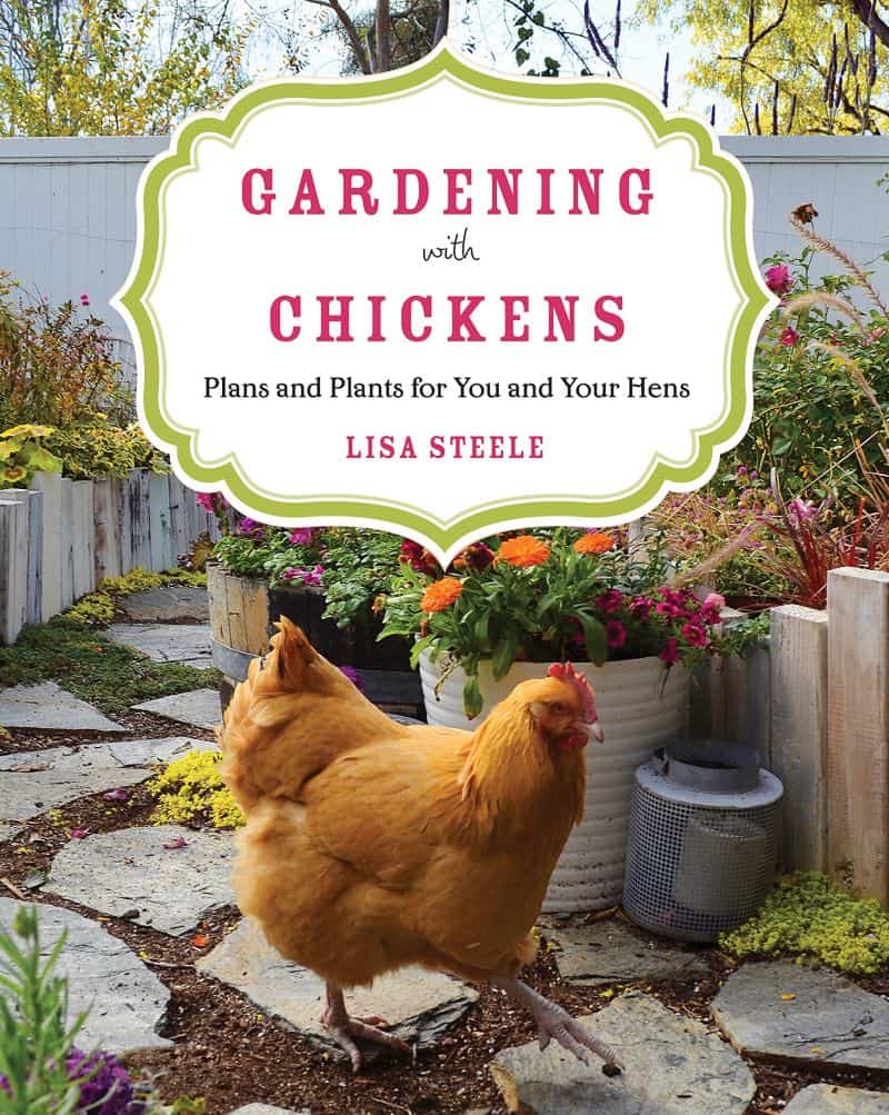 Gardening with Chickens is a book by Lisa Steele