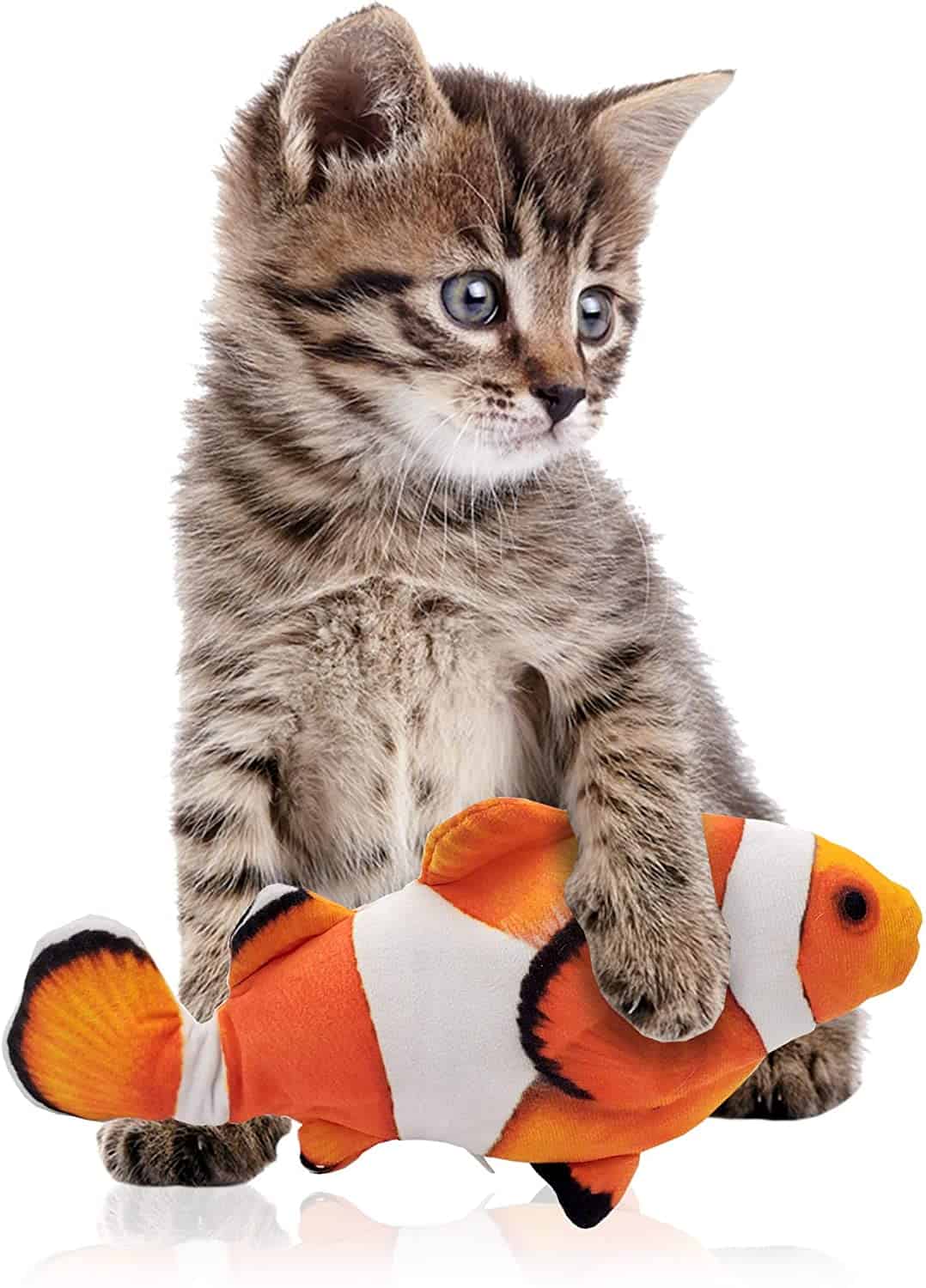 a cat playing with a clown fish toy