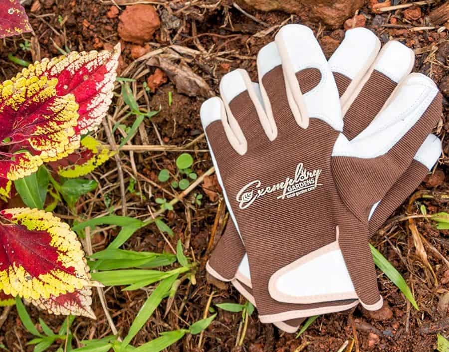 garden gloves are great for fall yard cleanup