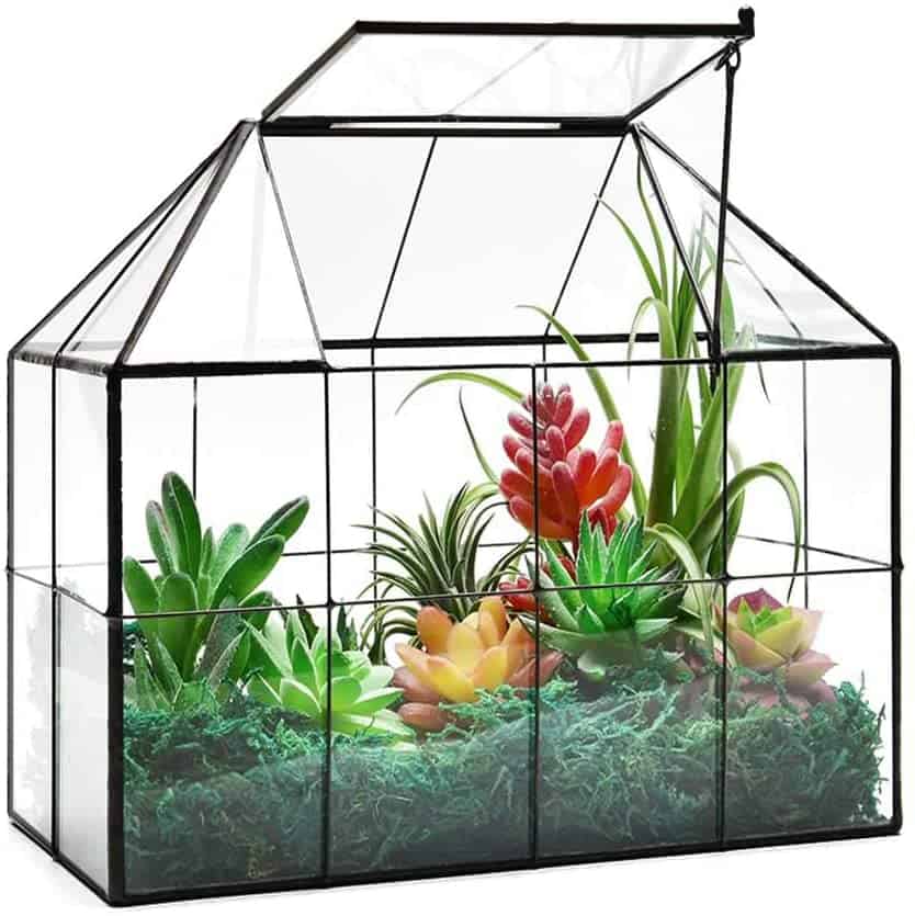 make your own terrarium with this glass terrarium case