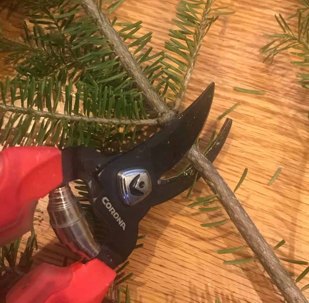 a pair of pruners is trimming an evergreen branch for a holiday wreath