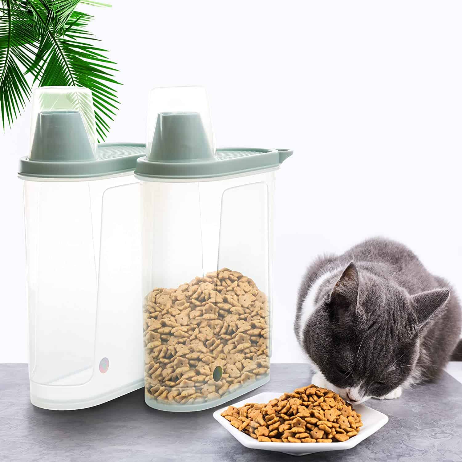 cat food storage container for the eco friendly cat