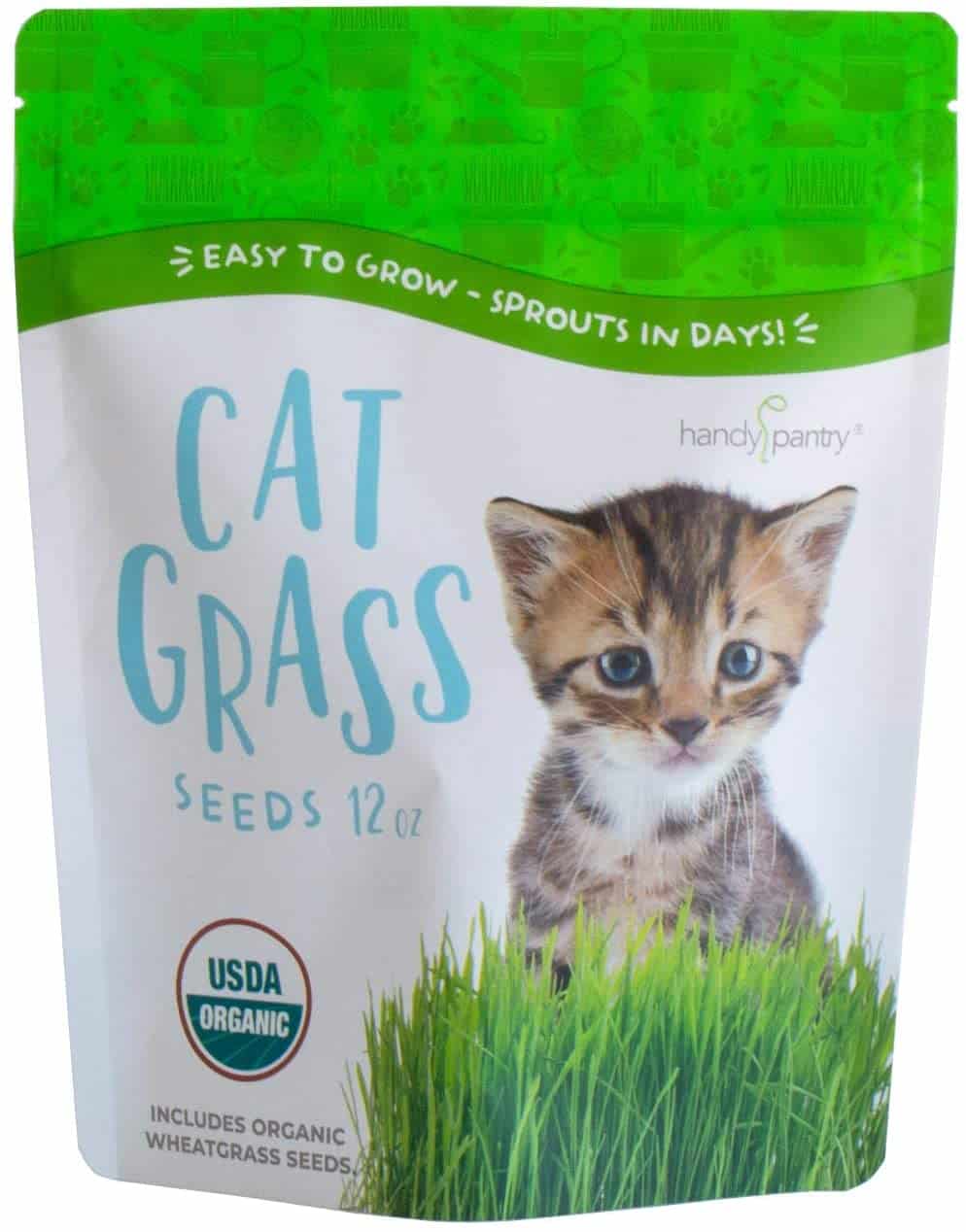 a package of organic cat grass seeds