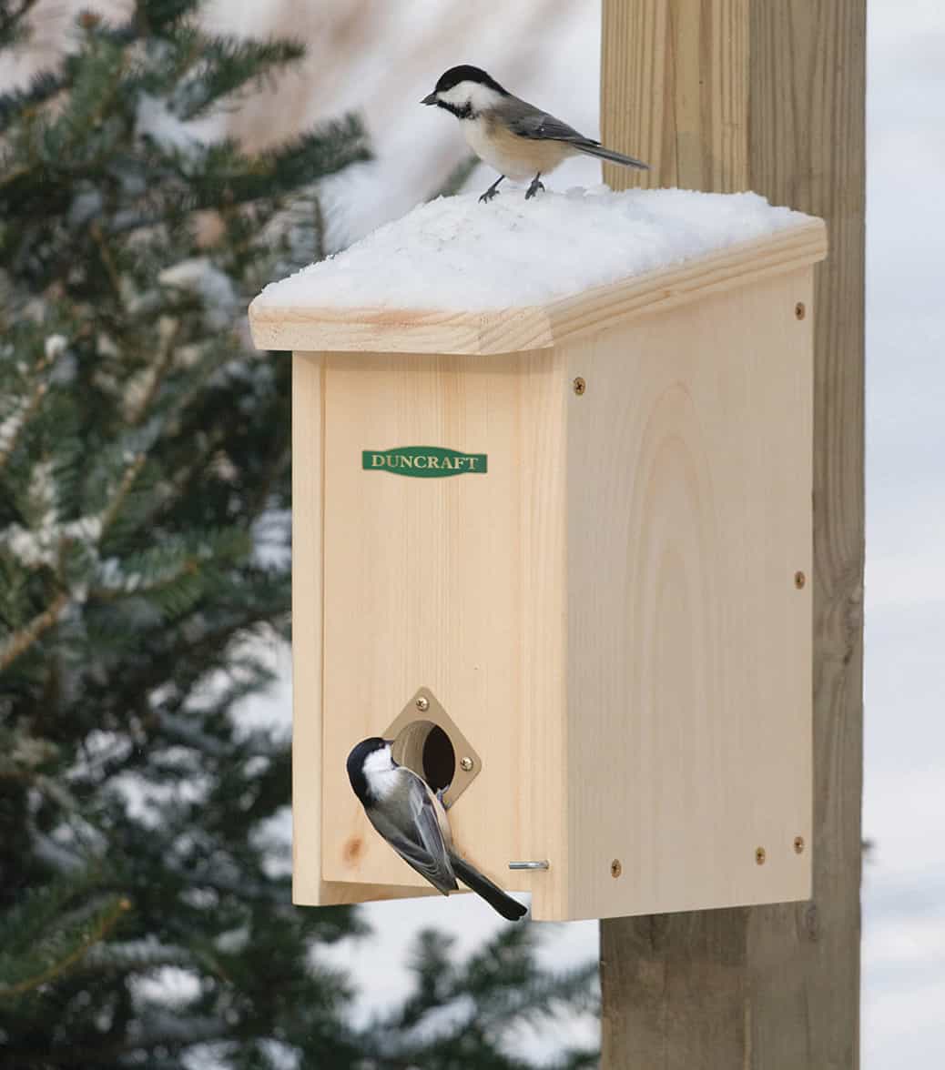 a roosting box for winter birds