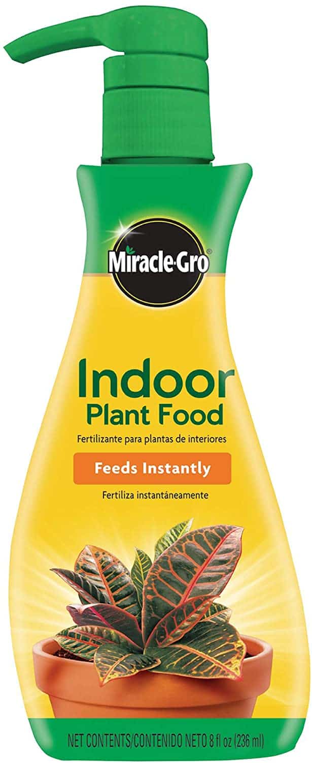 Use Miracle Gro Indoor Plant Food to fertilize potted plants