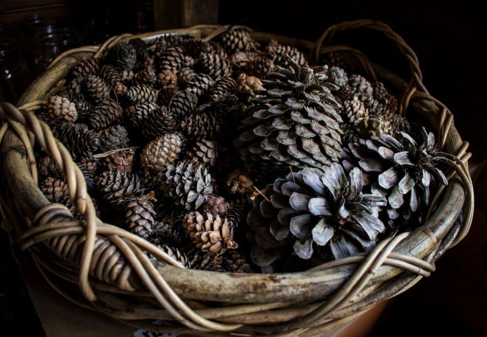 a basket of pinecones is beautiful natural decor
