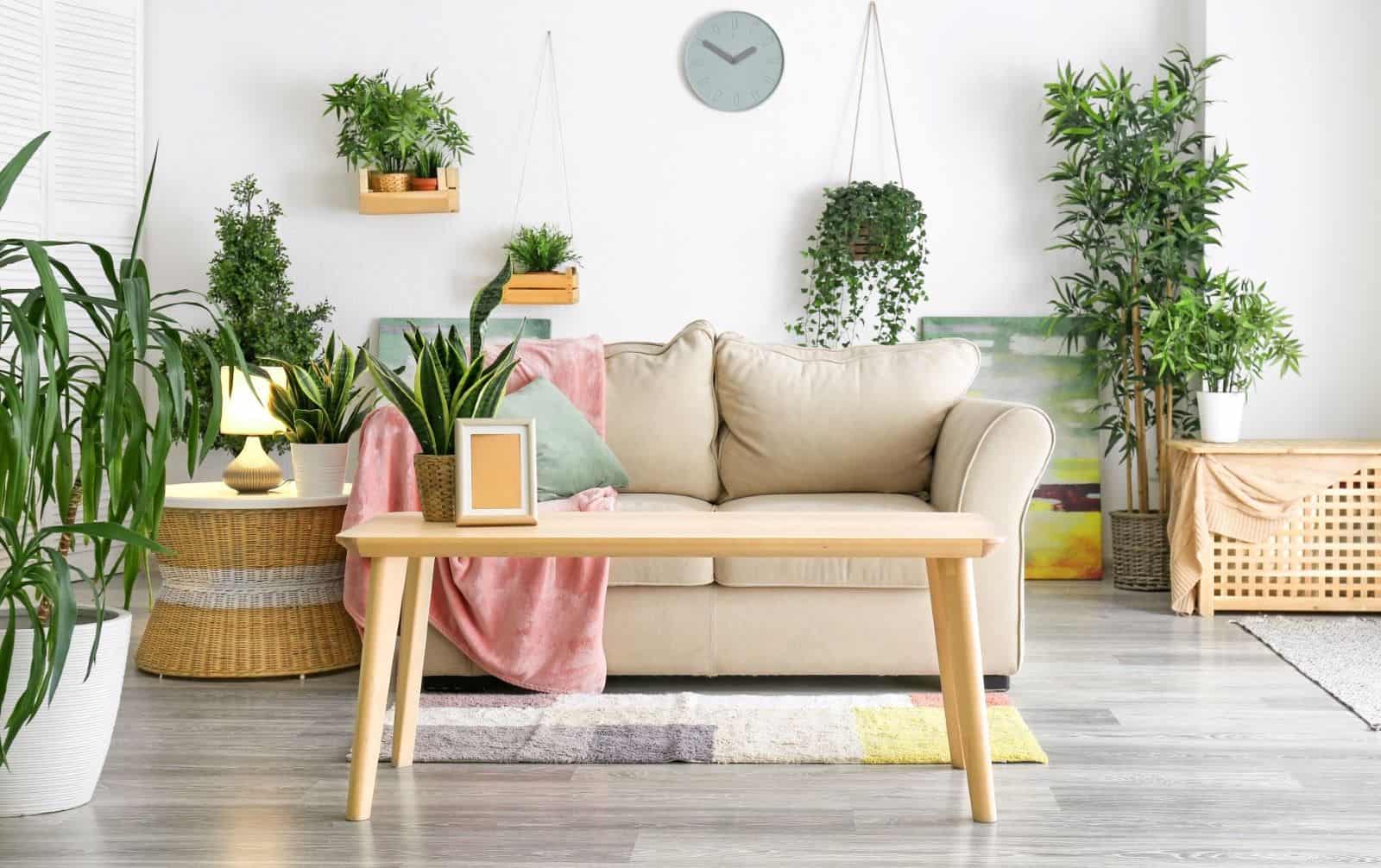 bring the outdoors indoors with wood floors, plants and natural decor