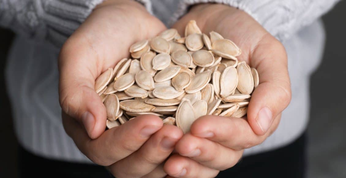 harvest and store seeds like these pumpkin seeds