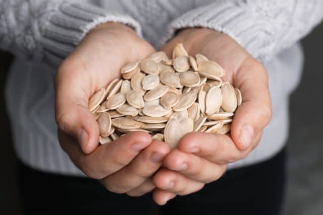 harvest and store seeds like these pumpkin seeds
