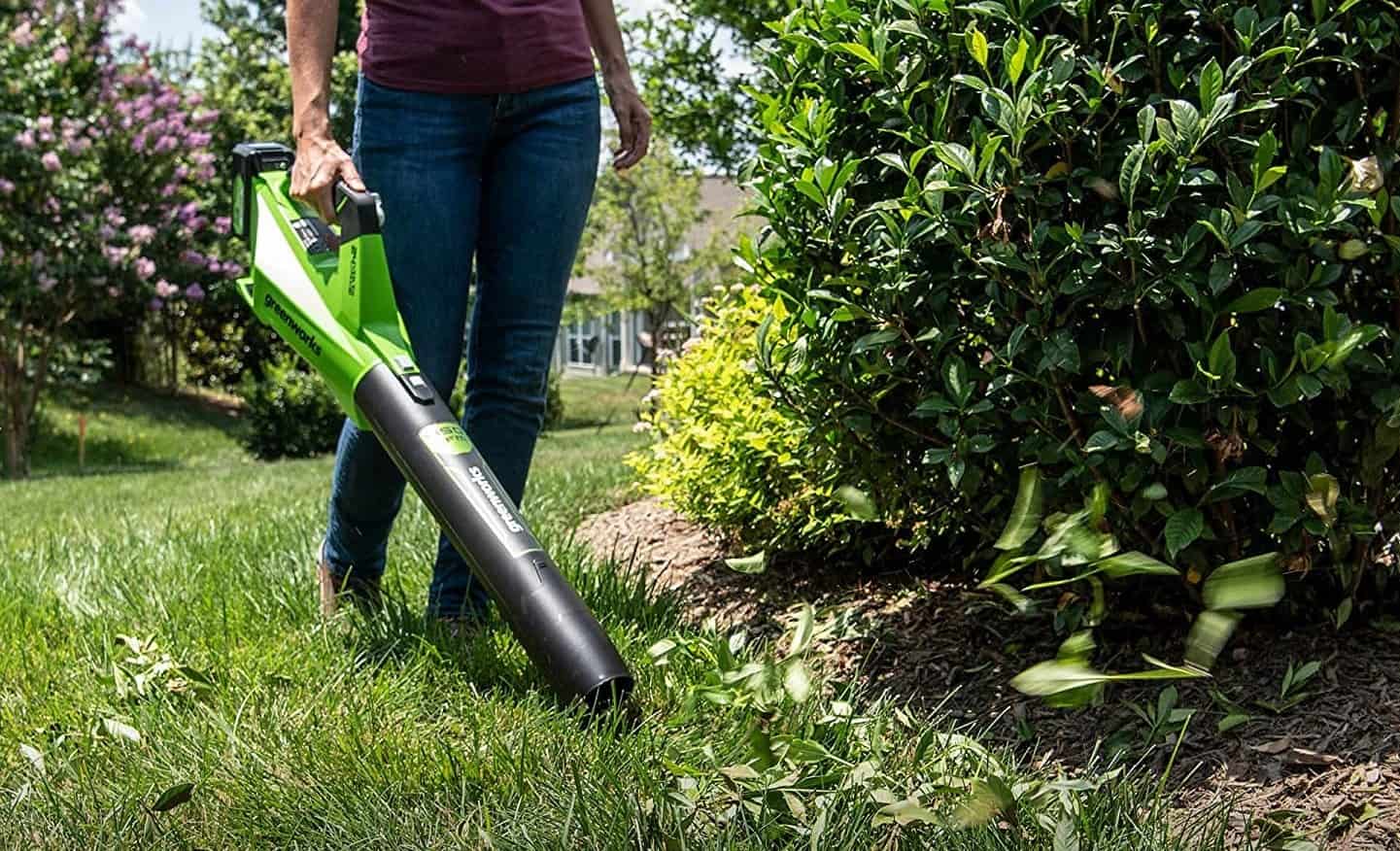 a woman uses a cordless leaf blower to blow leaves from a lawn