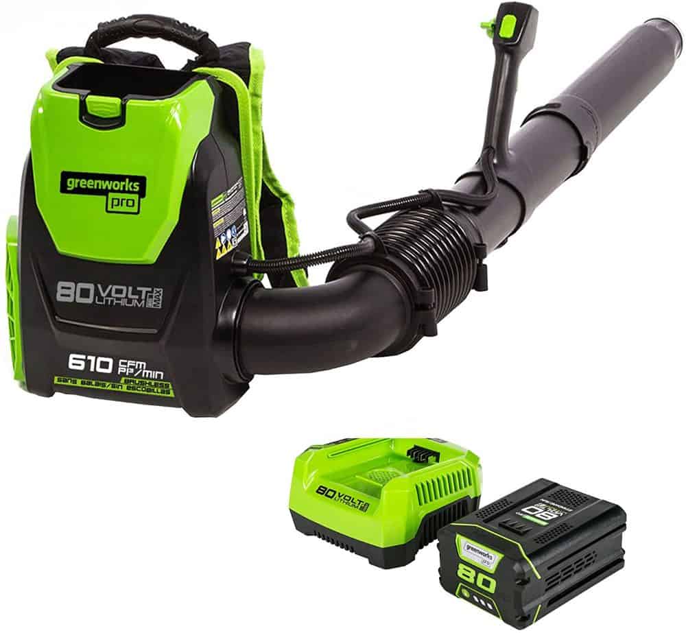 a greenworks pro backpack blower with battery and charger