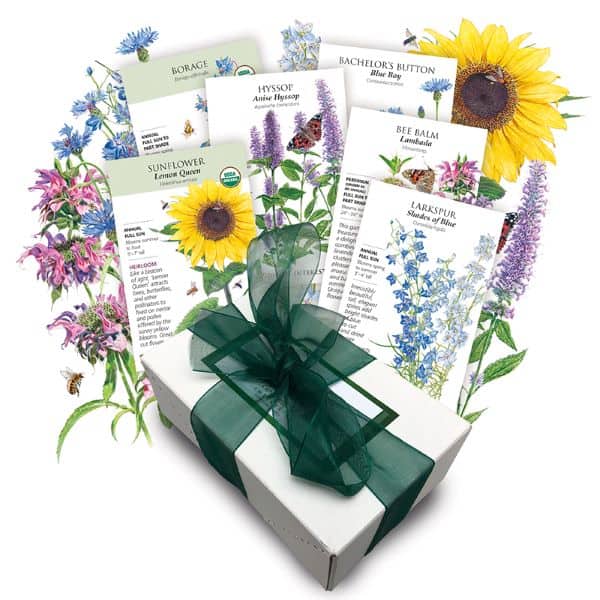 gifts for gardeners include the Bee Happy Seed Collection from Botanical Interests