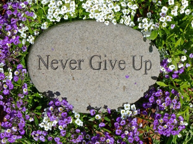 never give up garden stone