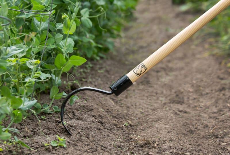 the cobrahead long handle weed puller is a best weeding tool