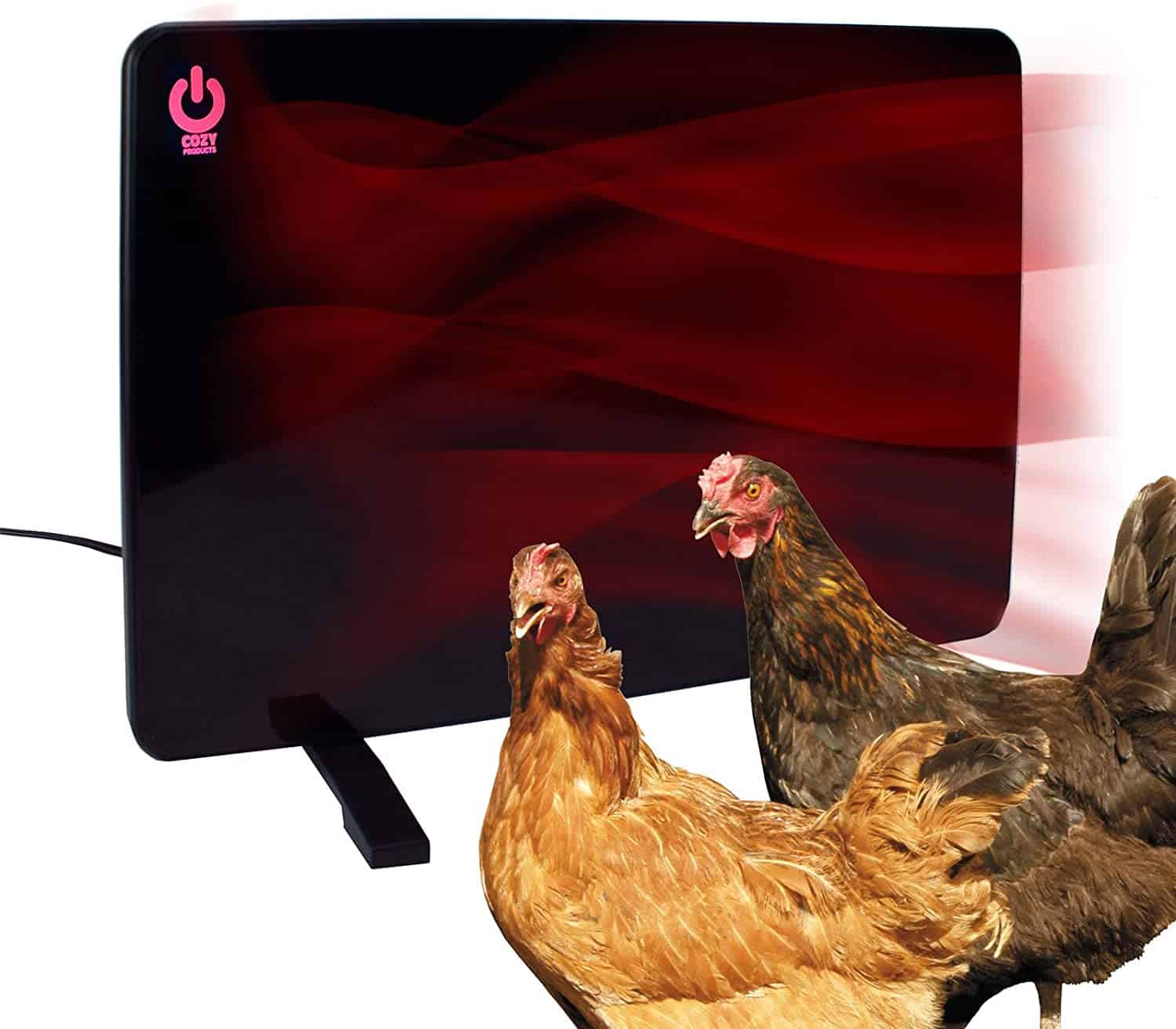 two chickens get warm by a cozy coop flat panel heater